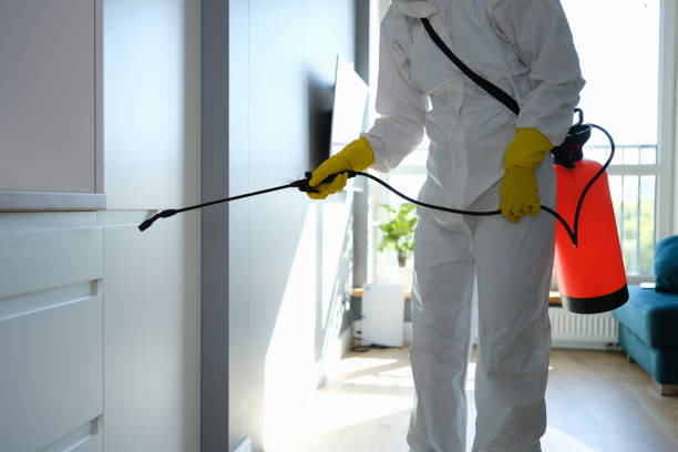 Professional Mold Remediation in Fairwood, WA